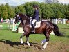 dressage horse Sun Flower 12 (Oldenburg, 2005, from Stedinger)