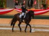 dressage horse Del Rusch (Hanoverian, 2000, from Del Piero)