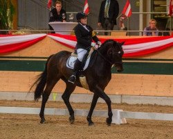 dressage horse Del Rusch (Hanoverian, 2000, from Del Piero)