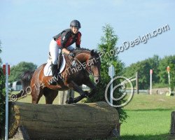 jumper Mc Lain 2 (Trakehner, 2008, from Opernball)