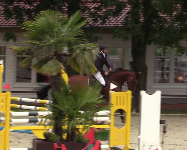 Reitturnier Schnarup-Thumby 2021