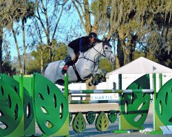 Springpferd Elize van de Broekkant (Belgisches Warmblut, 2004, von Clinton)