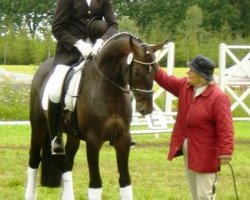 dressage horse Santano (Hanoverian, 2002, from Sandro Hit)