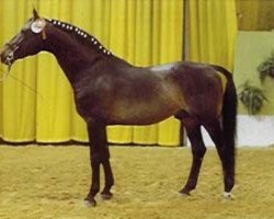 stallion Alibi (Holsteiner, 1962, from Aldato)