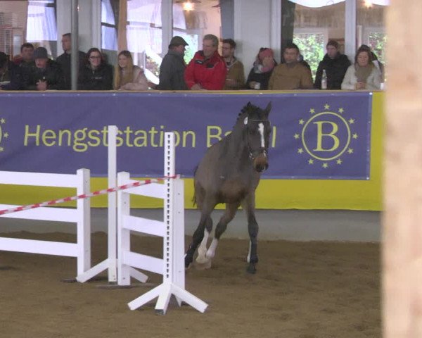 DSP-Freispringchampionat 2018