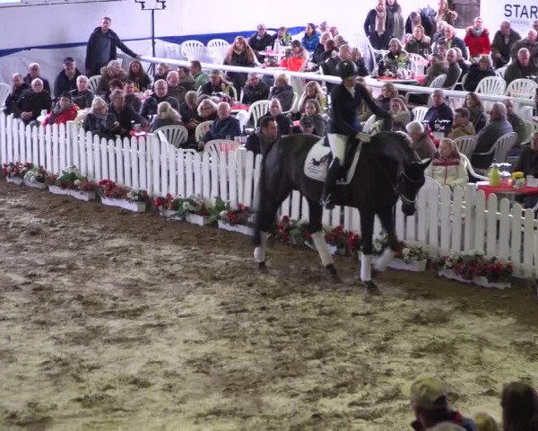 Hengstschau Holkenbrink 2019