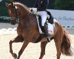 dressage horse Avec Plaisir (Hanoverian, 1999, from A Jungle Prince)