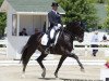 dressage horse Chrevi's Capital (Danish Warmblood, 2000, from Lavallo 66 FIN)