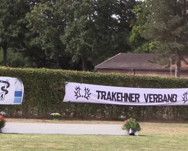 6. Trakehner Landesschau im Zuchtbezirk Westfalen