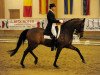 dressage horse Auheim's Picardo (Hanoverian, 2001, from Prince Thatch xx)