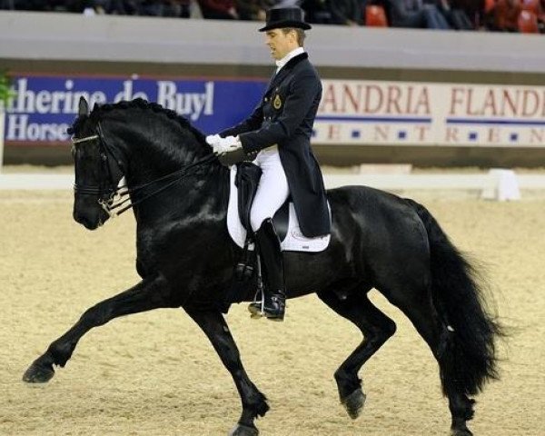 stallion Anders 451 (Friese, 2000, from Adel)