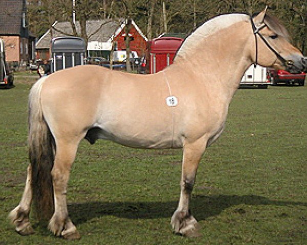 stallion Merkur N.2743 (Fjord Horse, 1990, from Faun Tor N.2023)