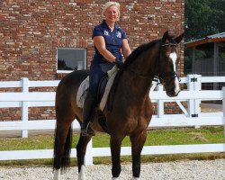 dressage horse Top Gun RH (KWPN (Royal Dutch Sporthorse), 2005, from Tuschinski)