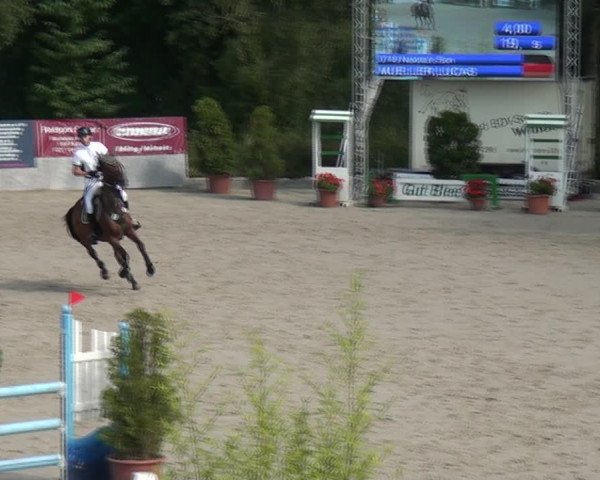 Reitturnier Monheim - Gut Blee 2021