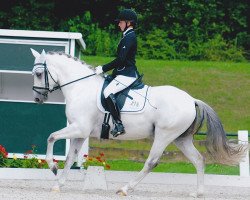 dressage horse Petit Marengo (German Riding Pony, 2006, from Monte Christo)