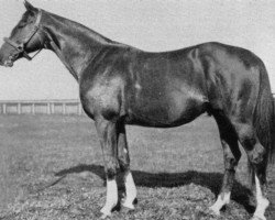 stallion West Nor West xx (Thoroughbred, 1925, from Parth xx)