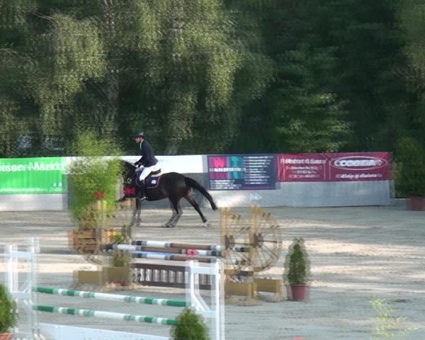Reitturnier Monheim - Gut Blee 2021