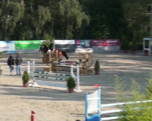 Reitturnier Monheim - Gut Blee 2021