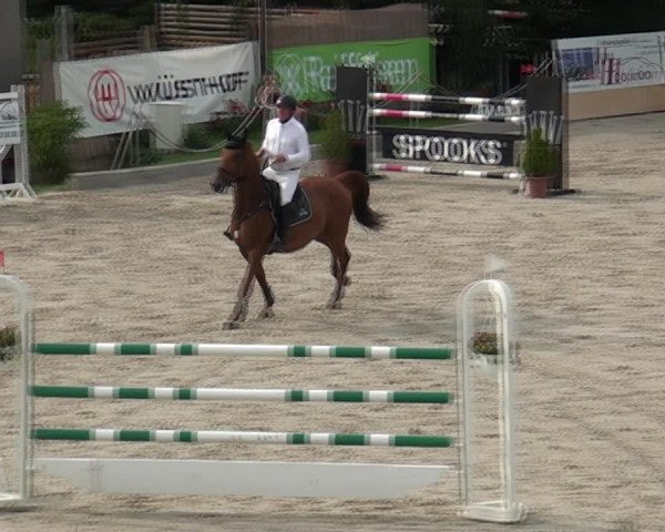 Reitturnier Monheim - Gut Blee 2021