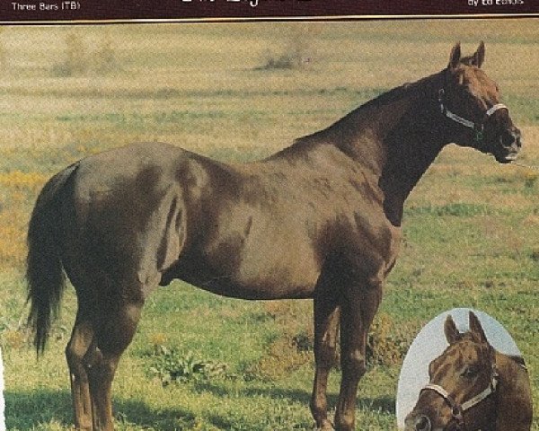 Deckhengst Par Three (Quarter Horse, 1962, von Three Bars xx)