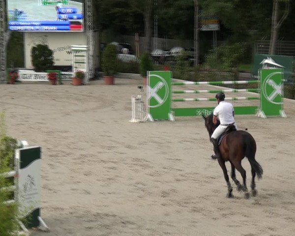 Reitturnier Monheim - Gut Blee 2021