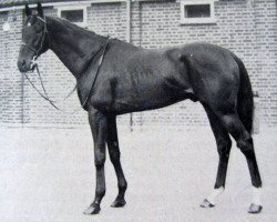 stallion Happy Monarch xx (Thoroughbred, 1943, from Limelight xx)