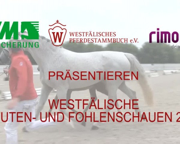 Stuten- und Fohlenschau Bedburg 2019
