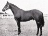 stallion Underwood xx (Thoroughbred, 1944, from Bois Roussel xx)