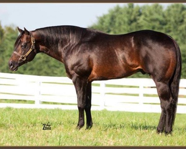 Deckhengst Invitation Only (Quarter Horse,  , von Barpassers Image)