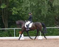 dressage horse Chenna 2 (Hessian Warmblood, 2004, from Helenenhof's Carabas)