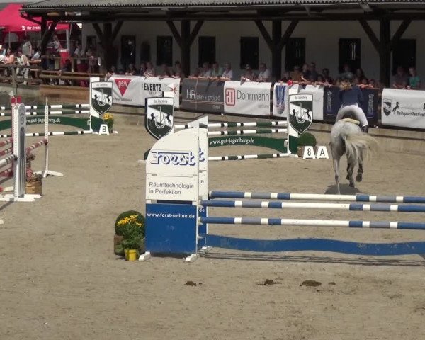 Reitsport Festival am Gut Jagenberg - Solingen 2021