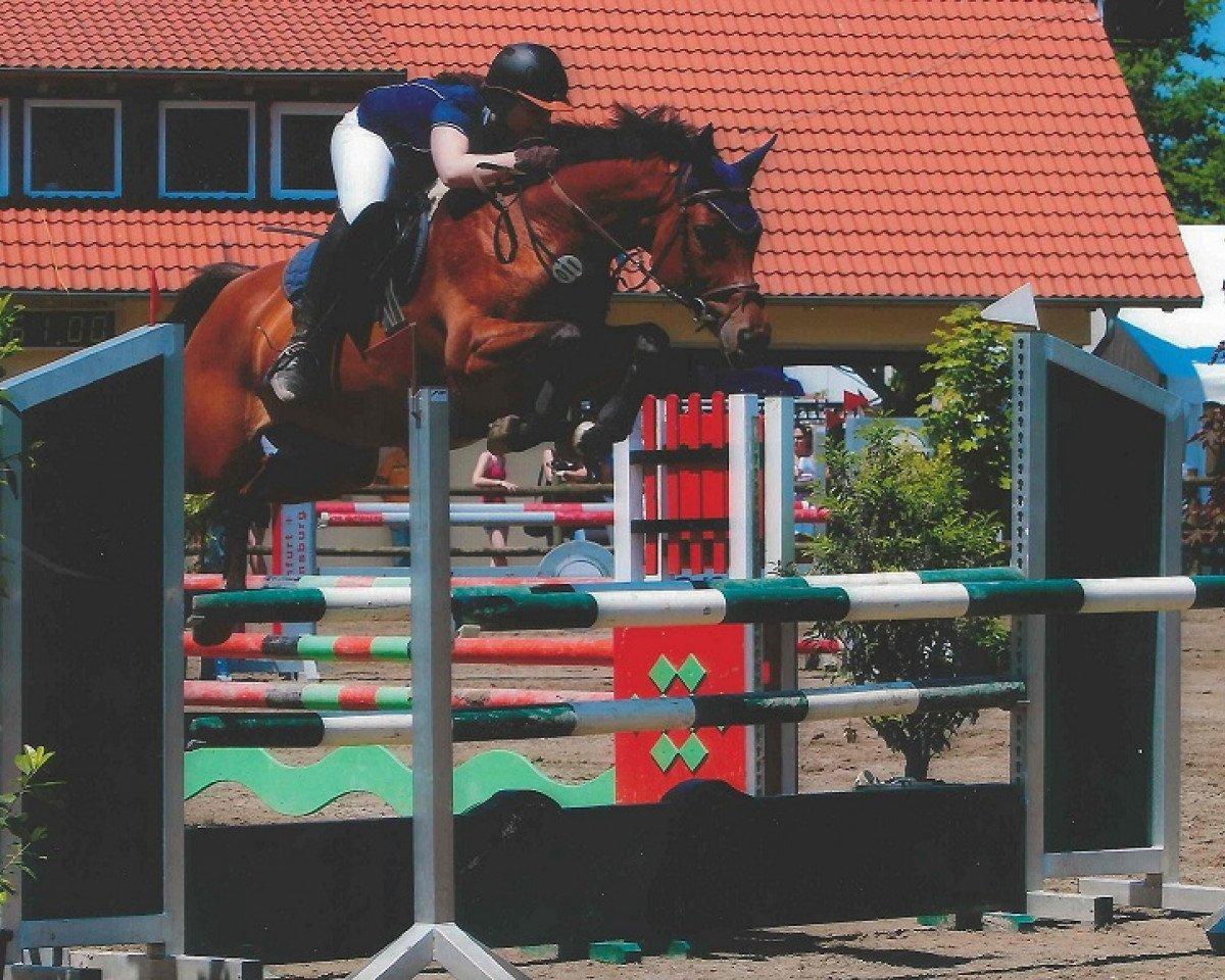 broodmare Alcantara G (Württemberger, 2002, from Araconit)