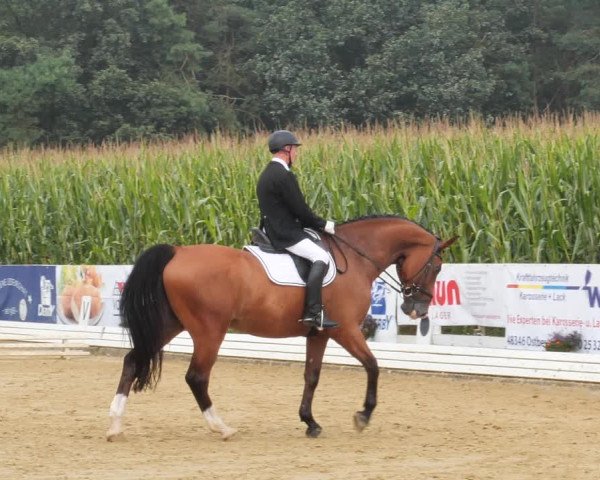Sommerturnier Ostbevern 2021