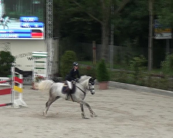 Reitturnier Monheim - Gut Blee 2021