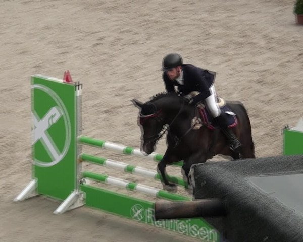 Reitturnier Monheim - Gut Blee 2021