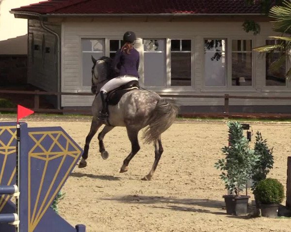 Reitturnier Schnarup-Thumby 2021