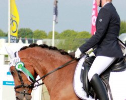 dressage horse Solveyg (Deutsches Reitpony, 2005, from Apslau xx)