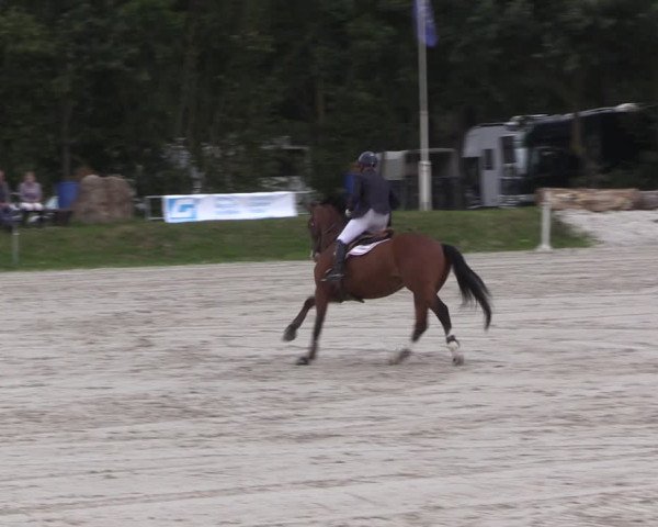 Springturnier Pietzpuhl 2021