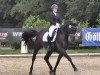 dressage horse Sirius Black 19 (Hanoverian, 2009, from San Remo)