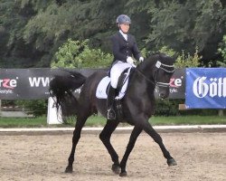 dressage horse Sirius Black 19 (Hanoverian, 2009, from San Remo)