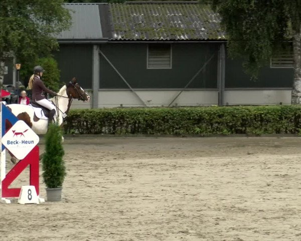 Reitturnier Siegen 2021