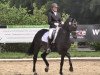 dressage horse Fiderprinz 2 (Oldenburg, 2009, from Fidertanz)