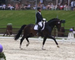 dressage horse Asgard's Charry-O (Oldenburg, 2009, from Casiro I)