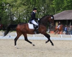 Dressurpferd Harmony's Boitano (KWPN (Niederländisches Warmblut), 2006, von Santano)