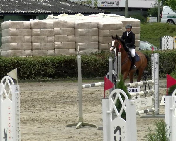 Reitturnier Siegen 2021