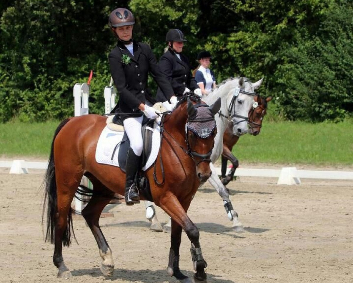broodmare Luxina 2 (Oldenburg, 2005, from Luxius)