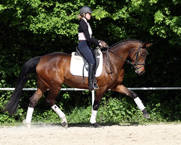 broodmare Fryida (Hanoverian, 2010, from Fidertanz)