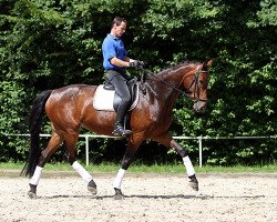 broodmare De La Rosa 6 (Hanoverian, 2005, from Danone 4)