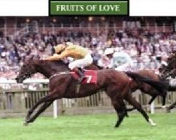 horse Fruits of Love xx (Thoroughbred, 1995, from Hansel xx)