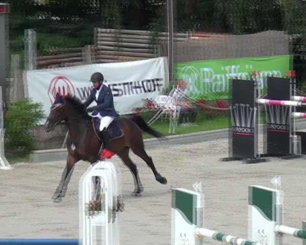 Reitturnier Monheim - Gut Blee 2021